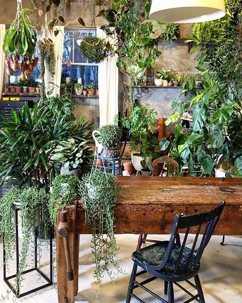 99 Great Ideas to Display Houseplants | Indoor Plants Decoration 30