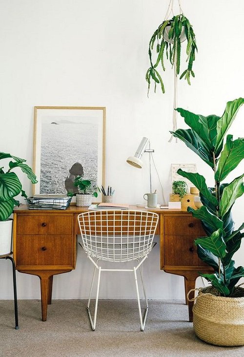 99 Great Ideas to Display Houseplants | Indoor Plants Decoration 31