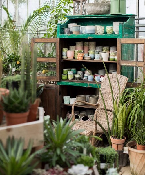 99 Great Ideas to Display Houseplants | Indoor Plants Decoration 49
