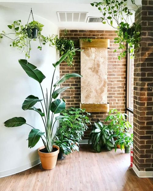 99 Great Ideas to Display Houseplants | Indoor Plants Decoration 50