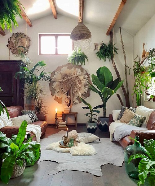 99 Great Ideas to Display Houseplants | Indoor Plants Decoration 40
