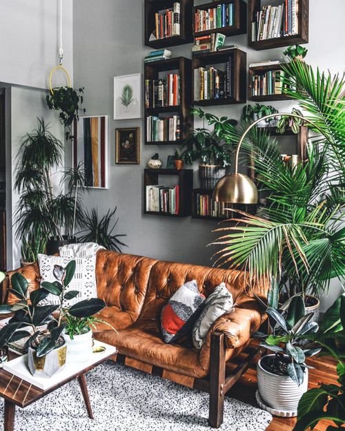 99 Great Ideas to Display Houseplants | Indoor Plants Decoration 41