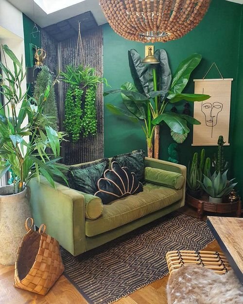99 Great Ideas to Display Houseplants | Indoor Plants Decoration 42