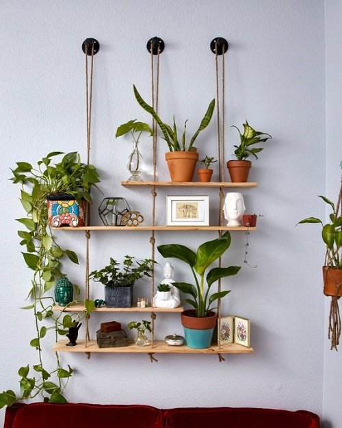 99 Great Ideas to Display Houseplants | Indoor Plants Decoration 34