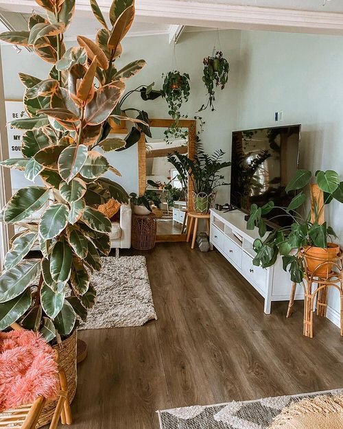 99 Great Ideas to Display Houseplants | Indoor Plants Decoration 6