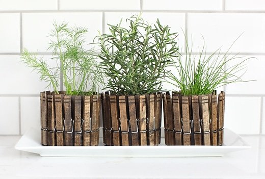 clothespin herb planters