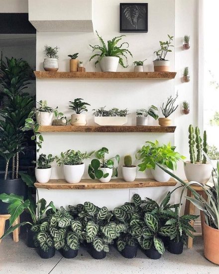 99 Great Ideas to Display Houseplants | Indoor Plants Decoration