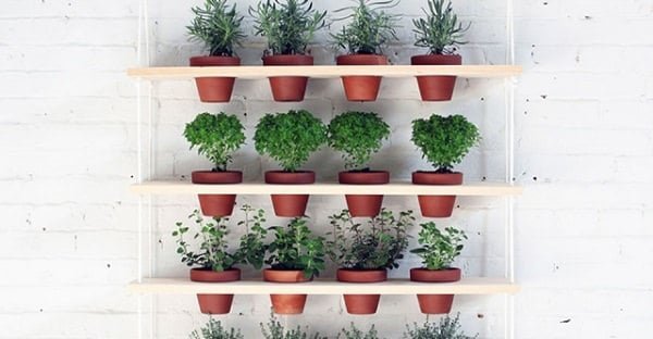 herb shelf