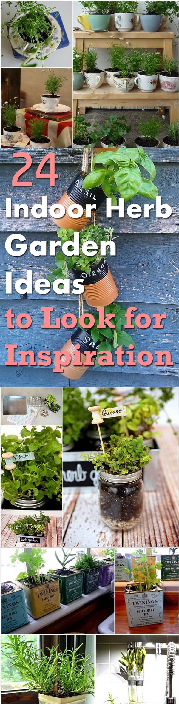 indoor herb garden ideas (2)
