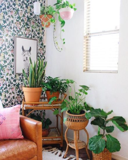 99 Great Ideas to Display Houseplants | Indoor Plants Decoration