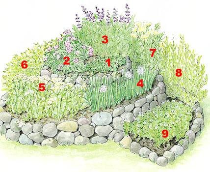 spiral herb garden plan
