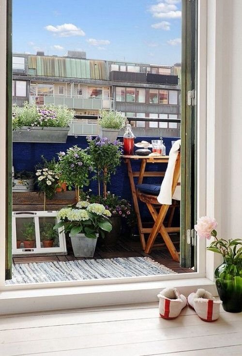  Balcony Gardening Tips 
