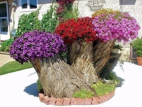 Floral Planter from Tree Trunk Planter Ideas that'll Impress You