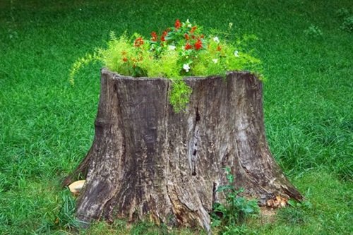 Hollow Tree Stump for Ferns and Flowers Planter Ideas that'll Impress You