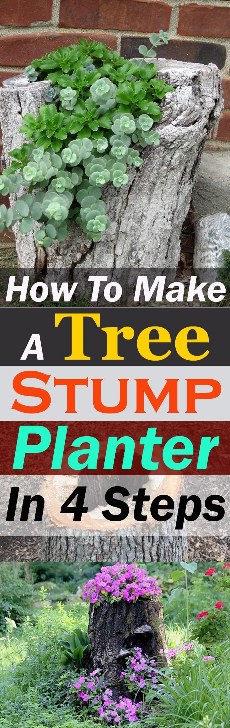 Learn how to make a tree stump planter and make use of an old stump that you want to get rid of.