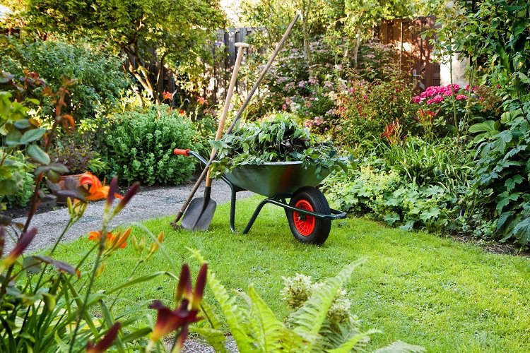 Preparing your garden for spring