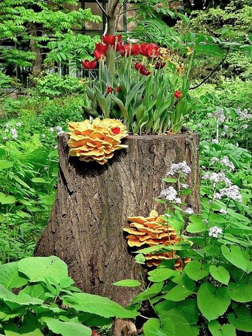 Red Tulips on Tree Stump Idea