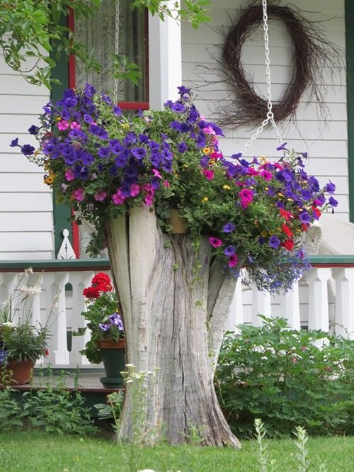 Tree Stump Flower Idea with Petunias Planter Ideas that'll Impress You