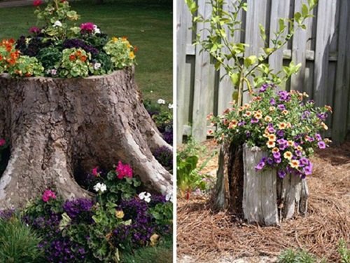 Tree Stump Planter Idea for the Garden Planter Ideas that'll Impress You