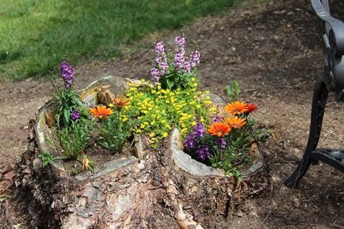 Blazing Tree Stump Planter Planter Ideas that'll Impress You