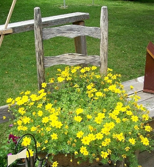 30 Cool Chair Planter Ideas for Home and Garden 3