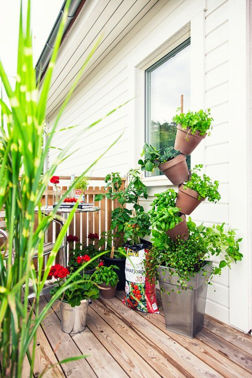  Balcony Gardening Tips 3