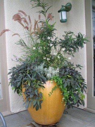 Planting Flower Pots Thriller Spiller Filler | Container Gardening ...