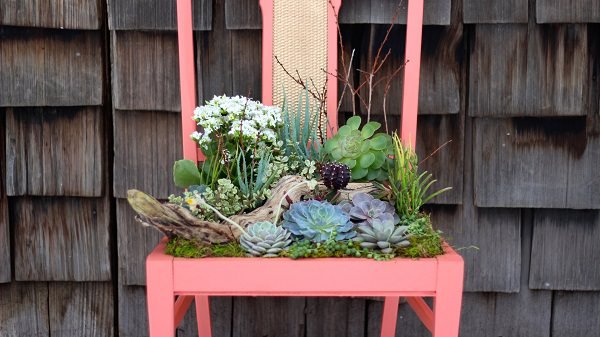 30 Cool Chair Planter Ideas for Home and Garden 1