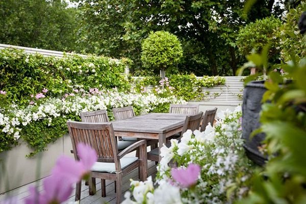 terrace garden tips 5