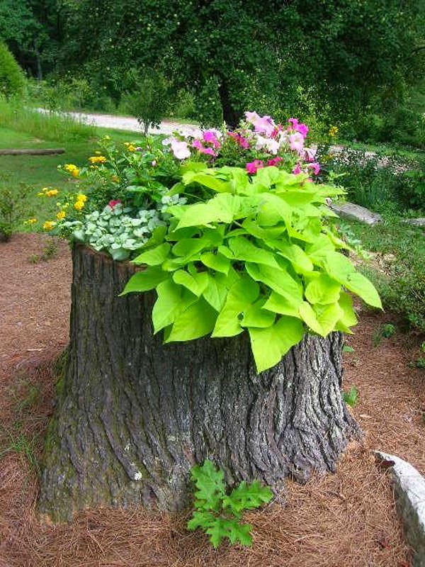 tree stump planter ideas (18)