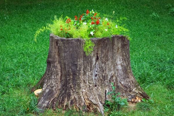 tree stump planter ideas (3)