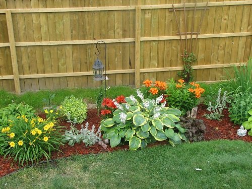 Easy Landscaping Tips 2