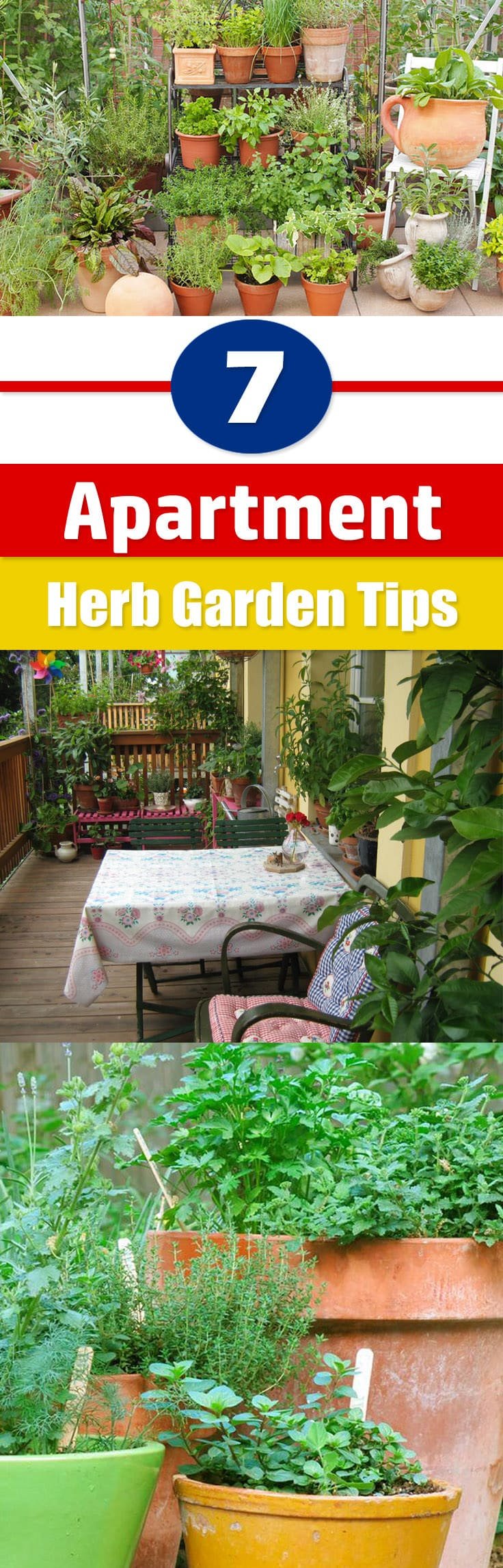 Start apartment gardening if you live in a city and don't have space for a regular garden with these 7 Apartment Herb Garden Tips.
