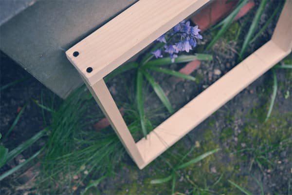 diy plant picture frame (3)
