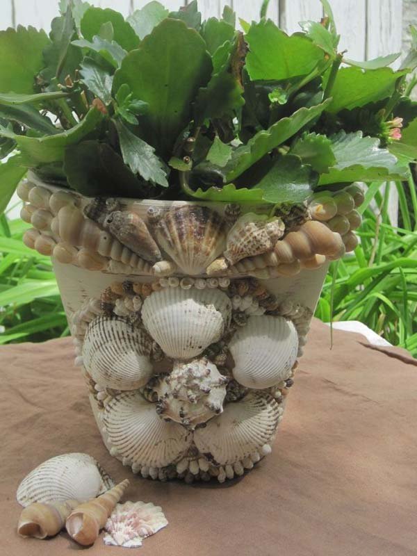 diy shell planter