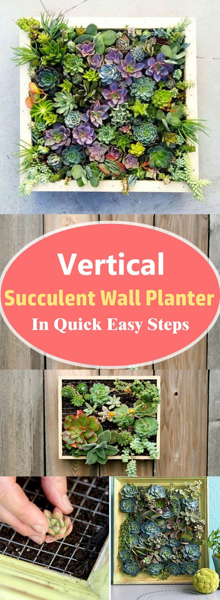 Learn how to make a vertical succulent wall planter in a few steps without spending money. You don't need to be a great DIYer to have this DIY succulent frame in your home.