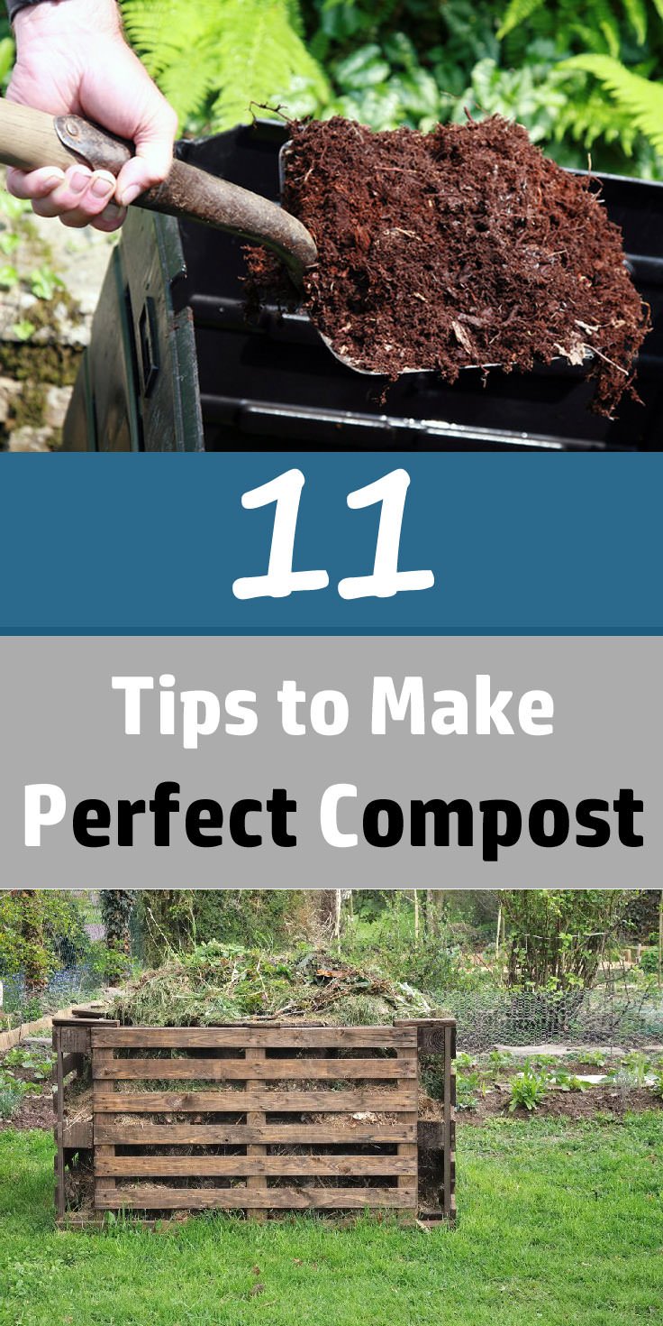Composting is certainly by far the main way to naturally enrich your soil and every gardener must do it. So here are 11 best composting tips that will make composting easier.