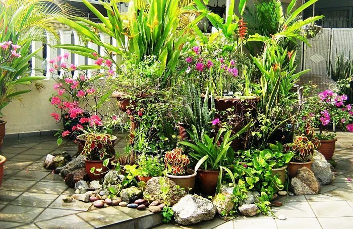 container garden design tips-tropical style