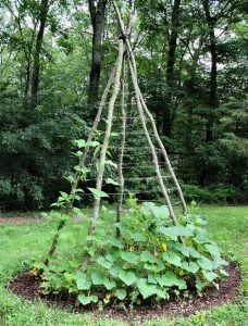 24 Best Upcycled Trellis Ideas For Garden | Cool Trellis Designs For ...