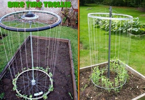  Trellis Ideas for Garden 15