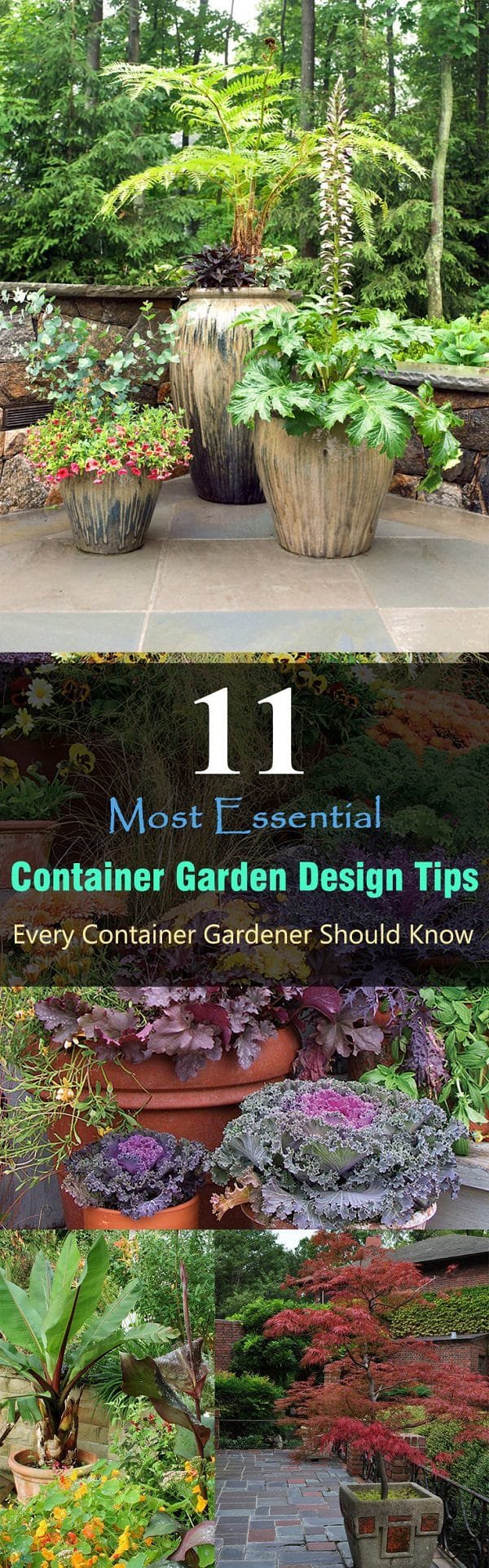 With these 11 important container garden design tips, you can create a beautiful container garden even in a limited space