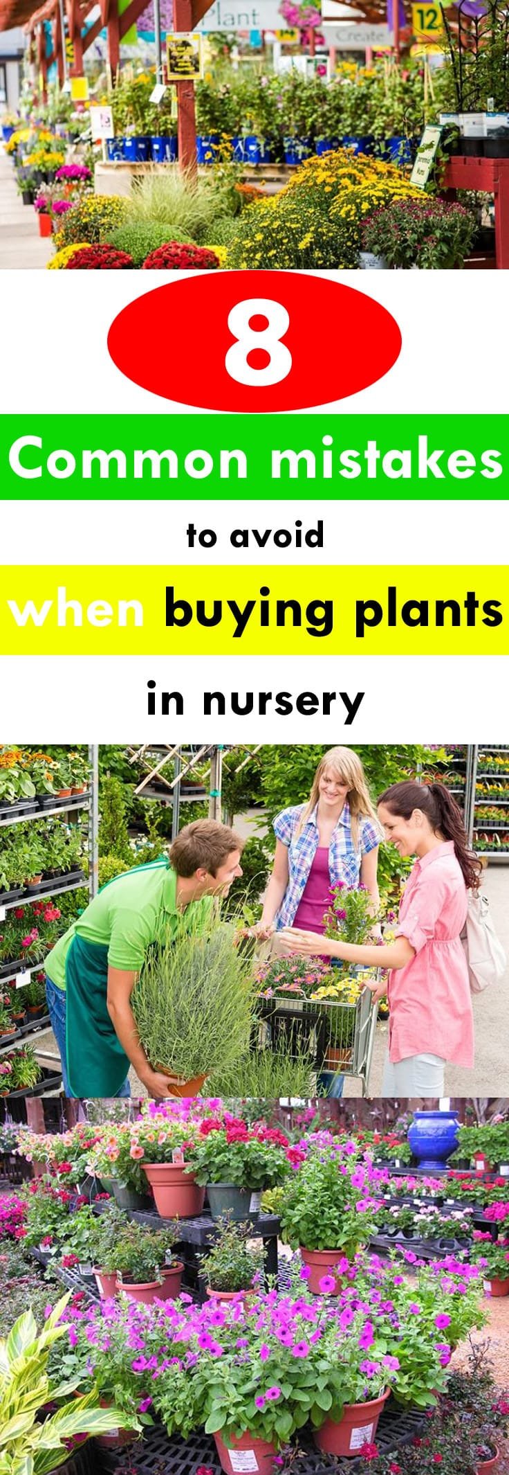 See how you can buy the best plants in a nursery or garden center by avoiding these 8 common mistakes.