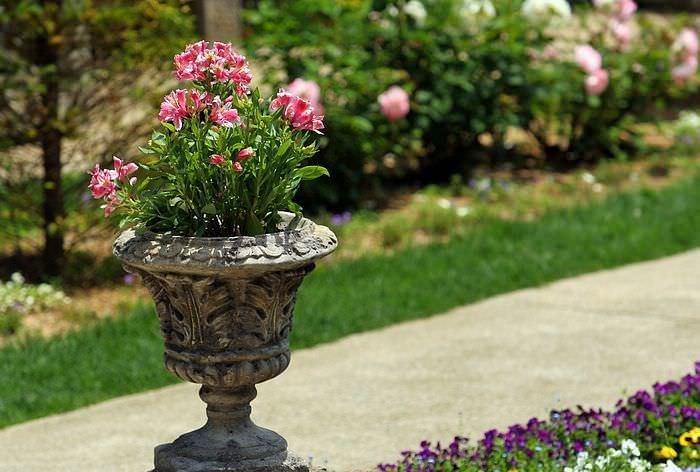 outdoor flower planter ideas
