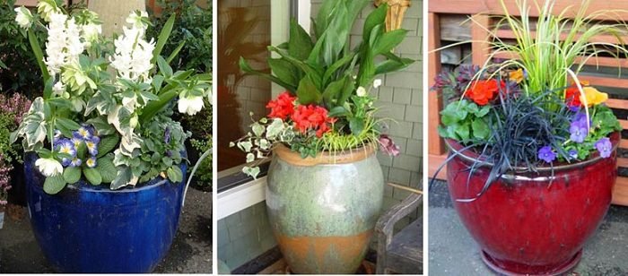 plant arrangements for pots