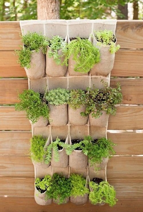 25 Great Ideas For Garden That You Can Do From Everyday Objects 7