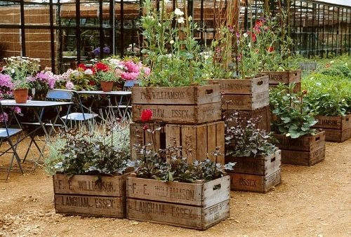 25 Great Ideas For Garden That You Can Do From Everyday Objects 2