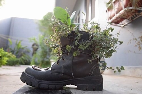 25 Great Ideas For Garden That You Can Do From Everyday Objects 10