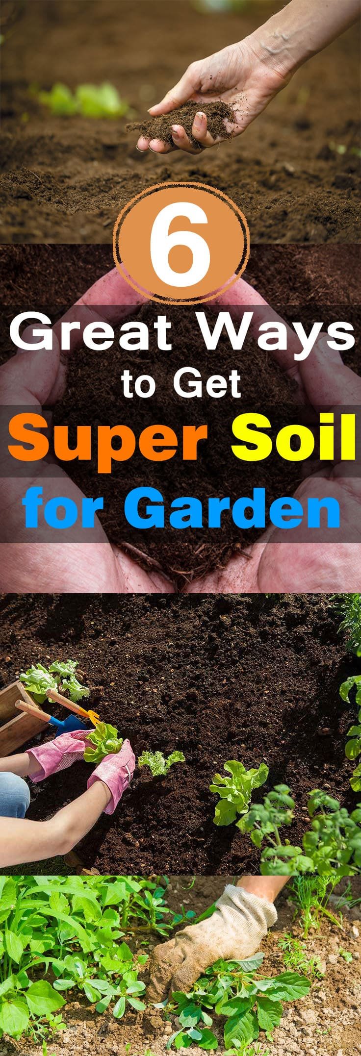 To have a productive garden, healthy soil is essential and if you want to improve your garden soil here we've 6 Most Important Tips.