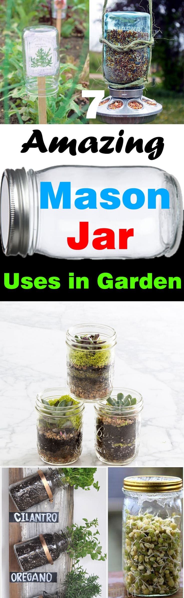 Have a collection of unused mason jars? Don't throw them! Here're 7 DIY Mason jar uses in garden you can look at for inspiration.