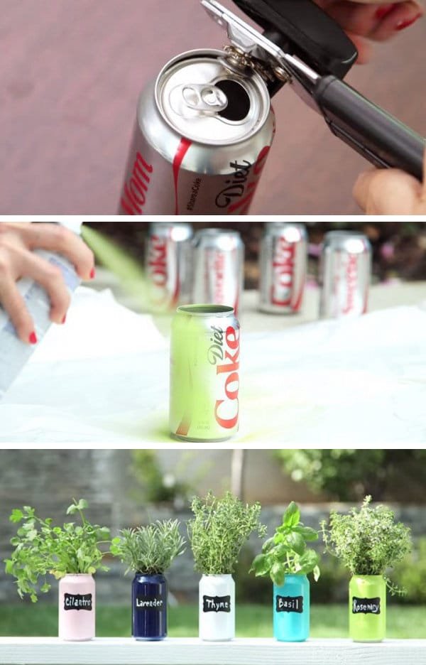 soda can planter